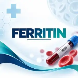 Ferritin