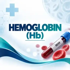 Hemoglobin Hb